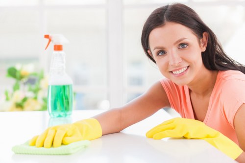 Professional window cleaning in E15 for a residential property