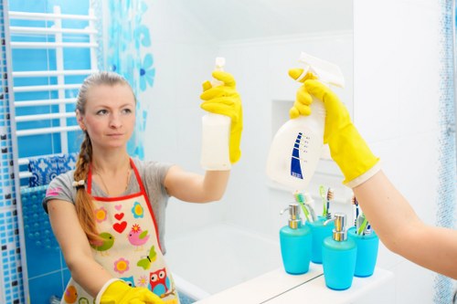 Professional home cleaners in E15 cleaning a modern living room