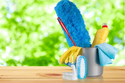 Cleaner in E15 providing professional home cleaning in a modern London property