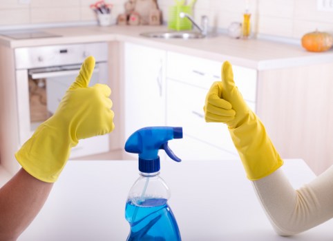 Carpet cleaner preparing safe cleaning equipment