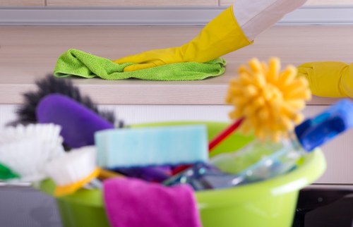 Professional carpet cleaners in E15 deep cleaning a home carpet