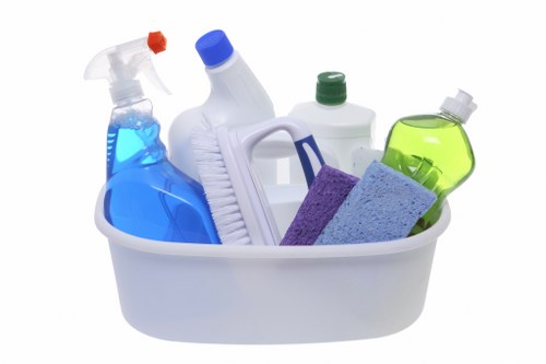 Regular domestic cleaning in E15 for flats and houses