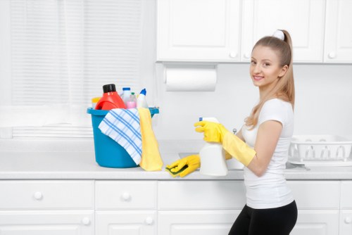 Eco-friendly oven cleaning process in E15