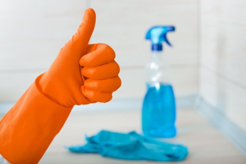Professional home cleaning in E15 for busy households