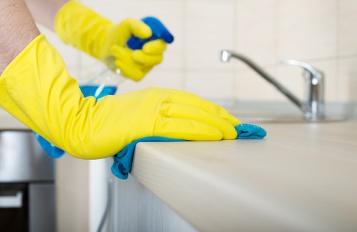 Professional cleaner in E15 maintaining a tidy and healthy living space