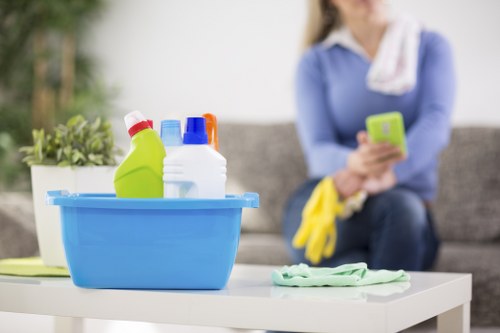 Stain removal treatment by a carpet cleaner in E15