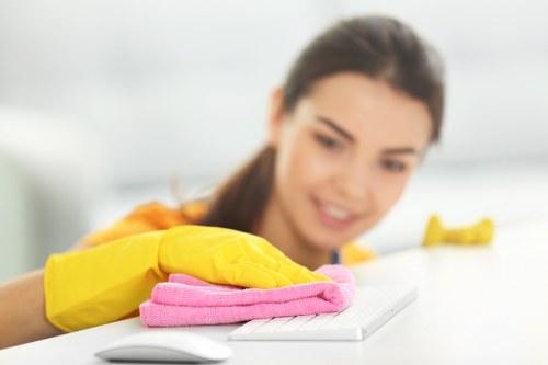 Professional domestic cleaning routine in E15