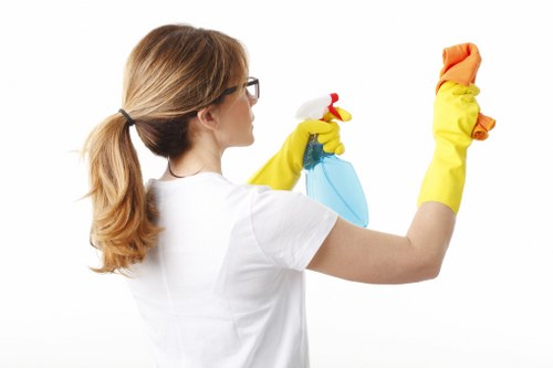 Professional carpet cleaning in progress inside a home